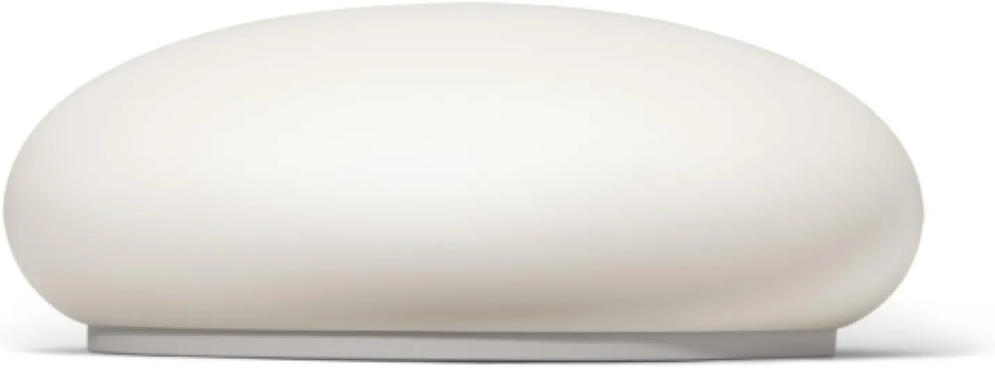 41FFn2YpHuL._AC_SL1500_