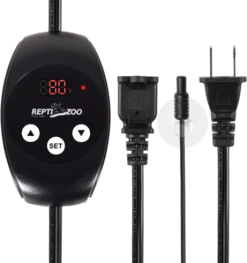 61sF7ZrNCyL._AC_SL1500_