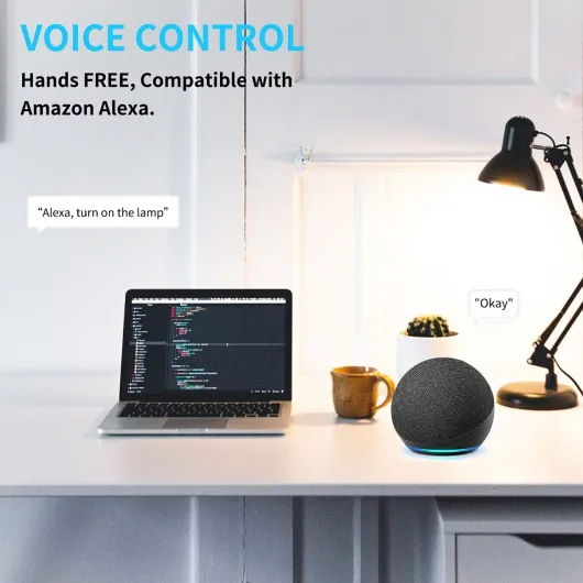 714Vs2dsyhL._SL1269_