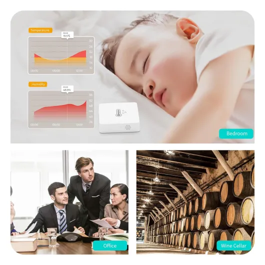 71LsTMkx nL._SL1500_