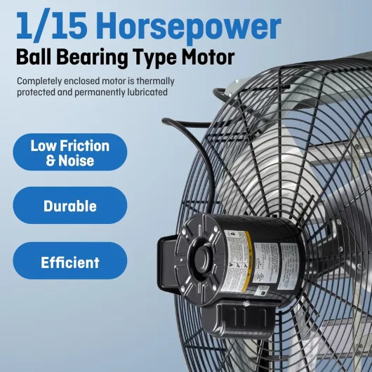 81a0X3iC9oL._AC_SL1500_